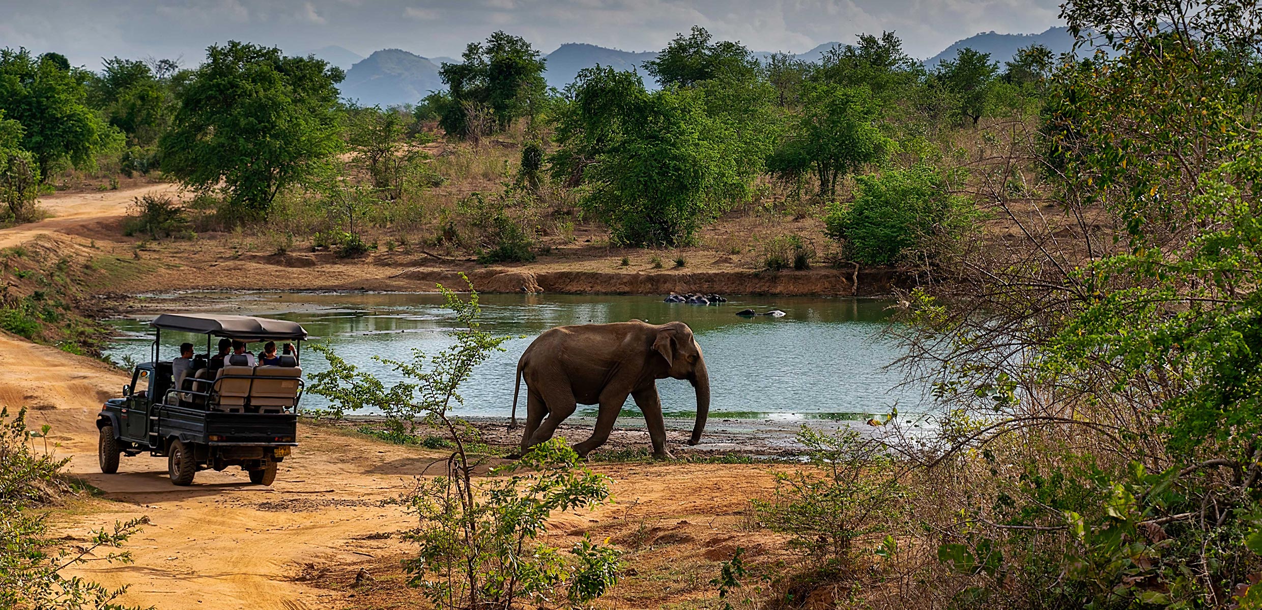 Ceylon Tours - Tangalle
